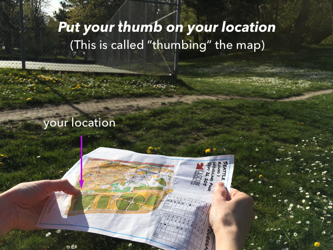Thumbing the map