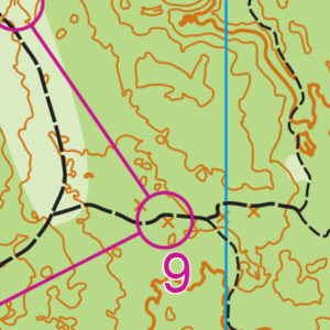 Putney Woods map sample
